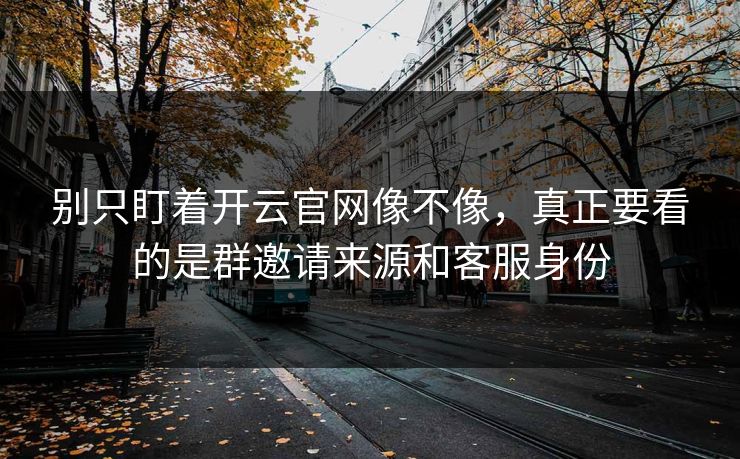 别只盯着开云官网像不像，真正要看的是群邀请来源和客服身份