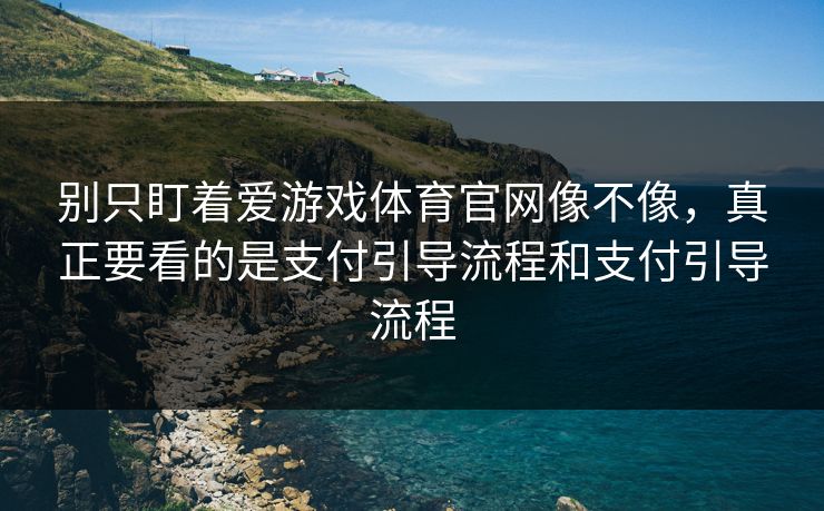 别只盯着爱游戏体育官网像不像，真正要看的是支付引导流程和支付引导流程